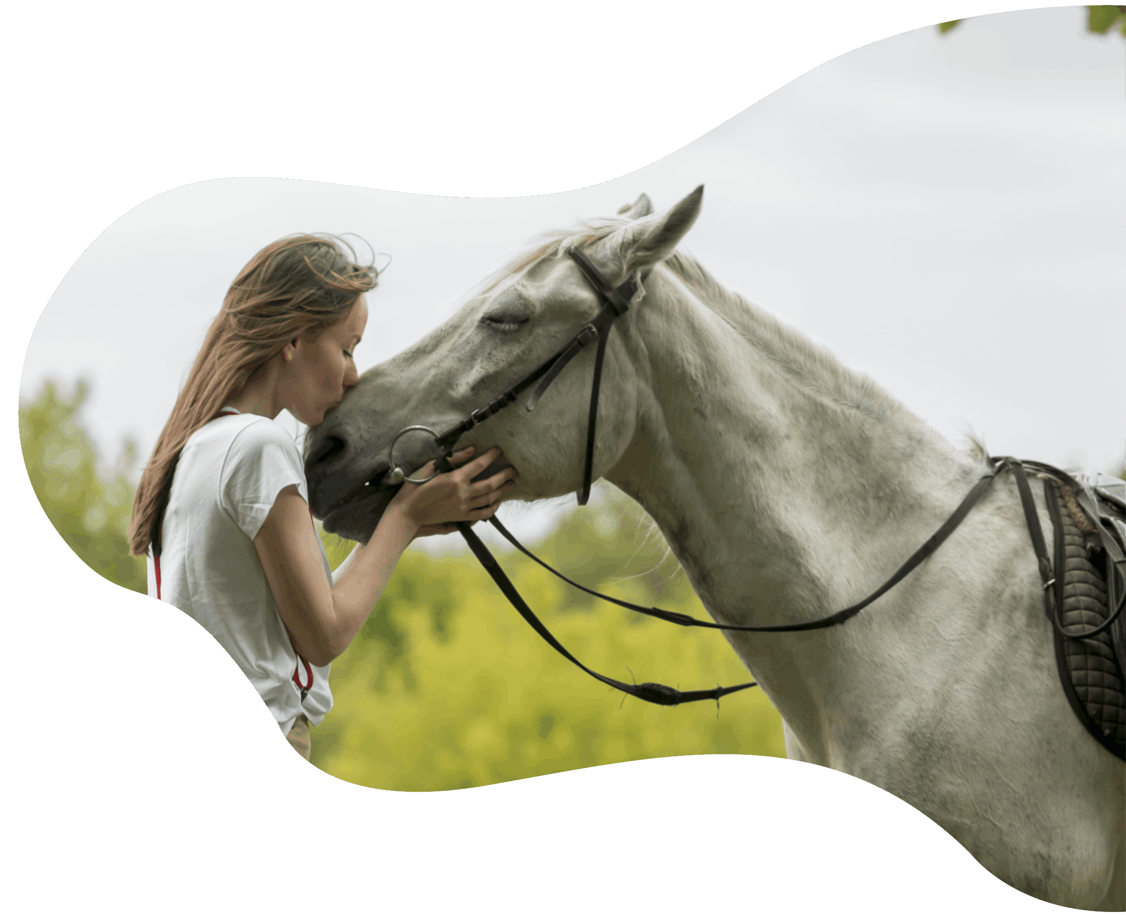 Anfosso Agraria Camporosso cavallo