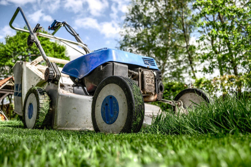 Anfosso Agraria giardinaggio